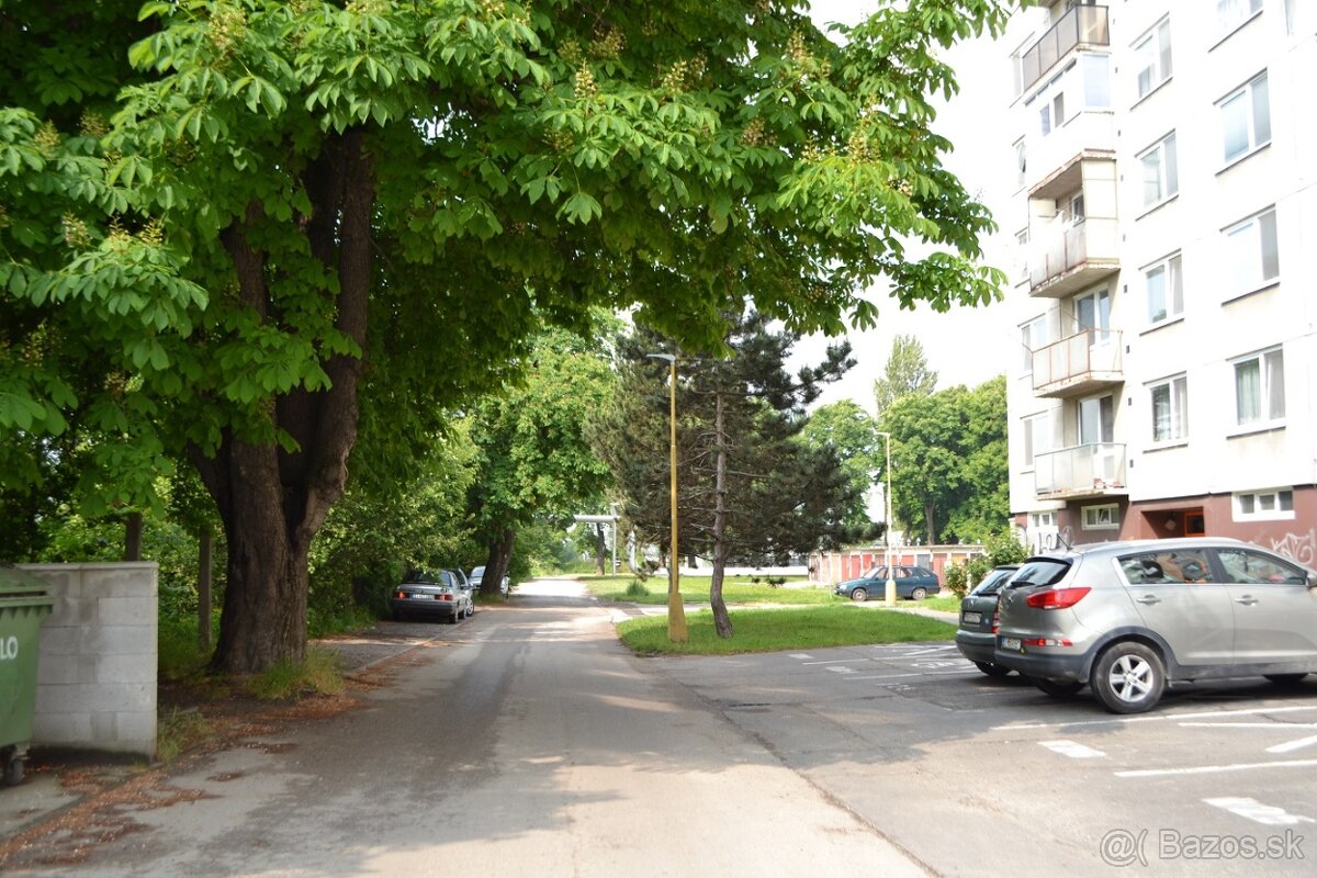 Prenájom pozemku, Lúčky Holíč - 7