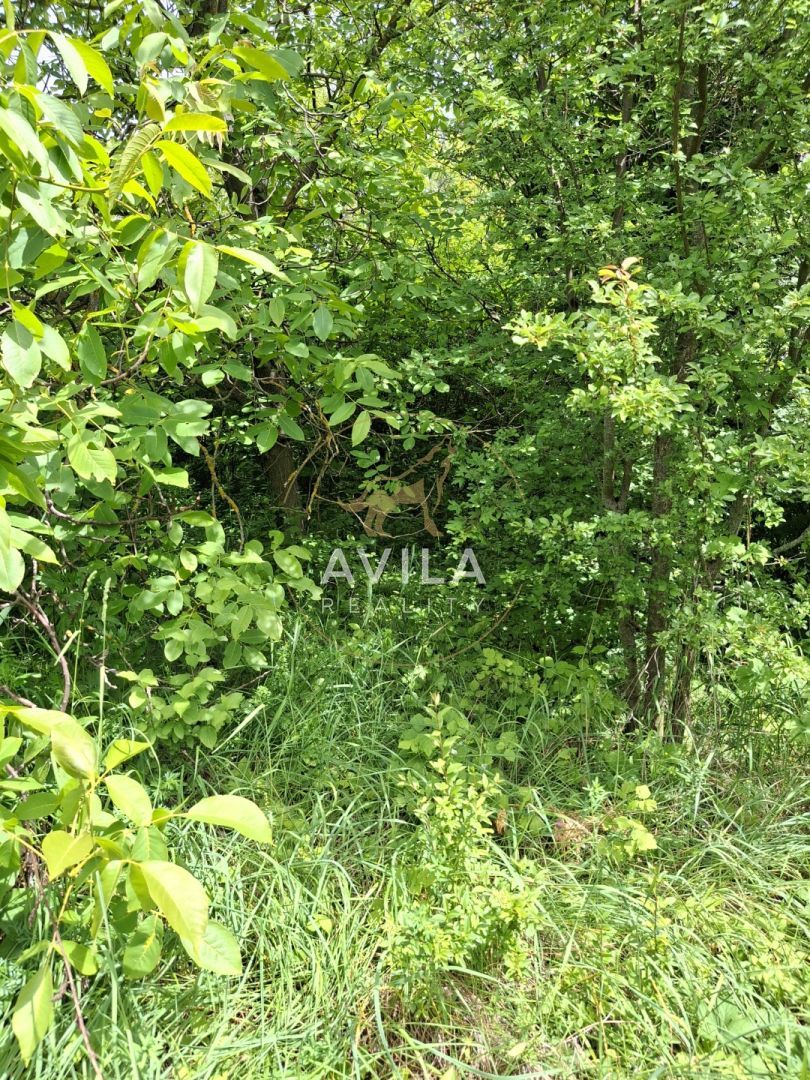 Na predaj: záhrada v atraktívnej lokalite Nové Mesto nad Váh - 7