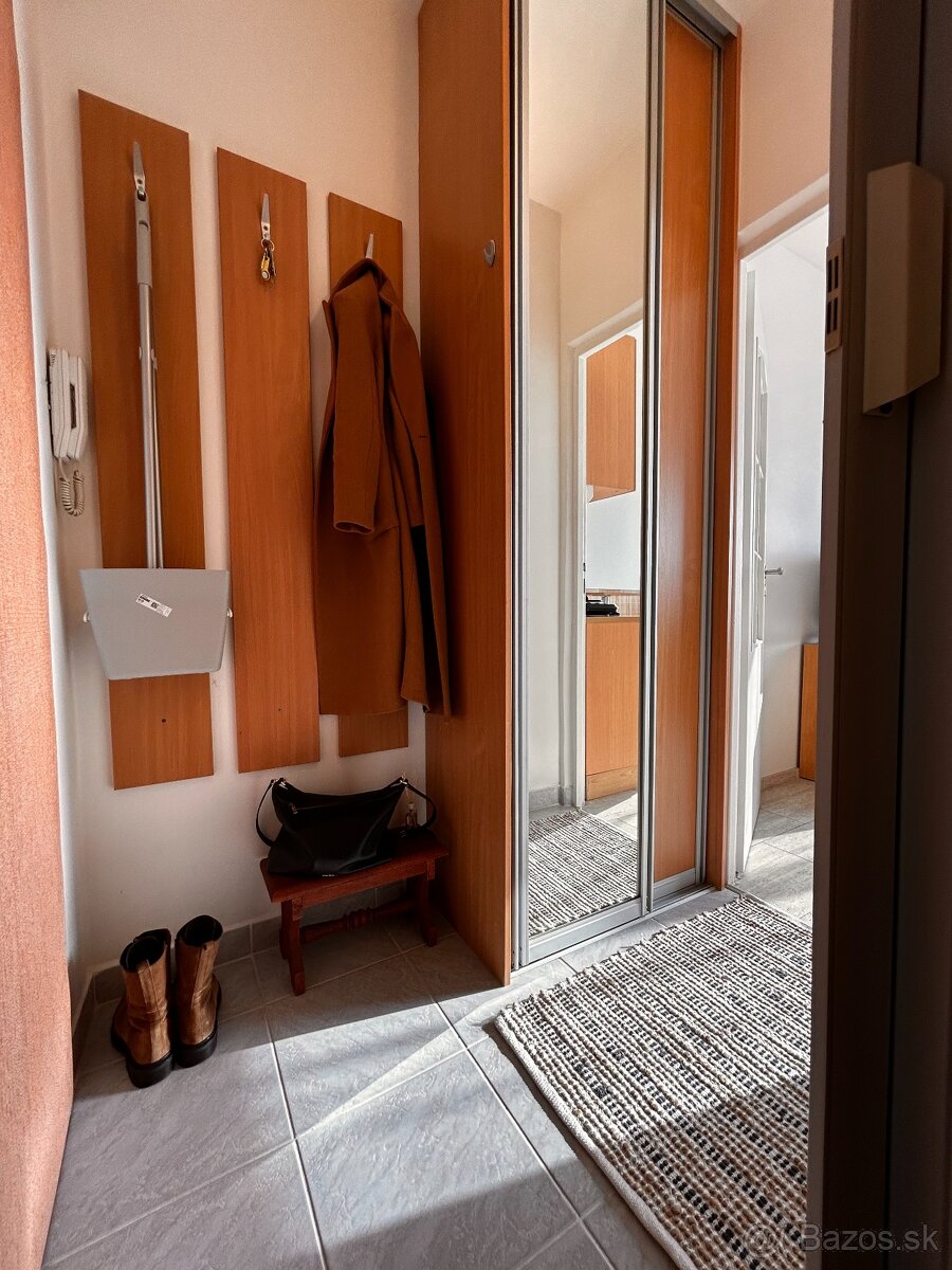 PET friendly útulná garsónka - 7