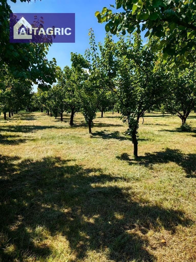 Sklady Komárno od 2 €/m2 - 7