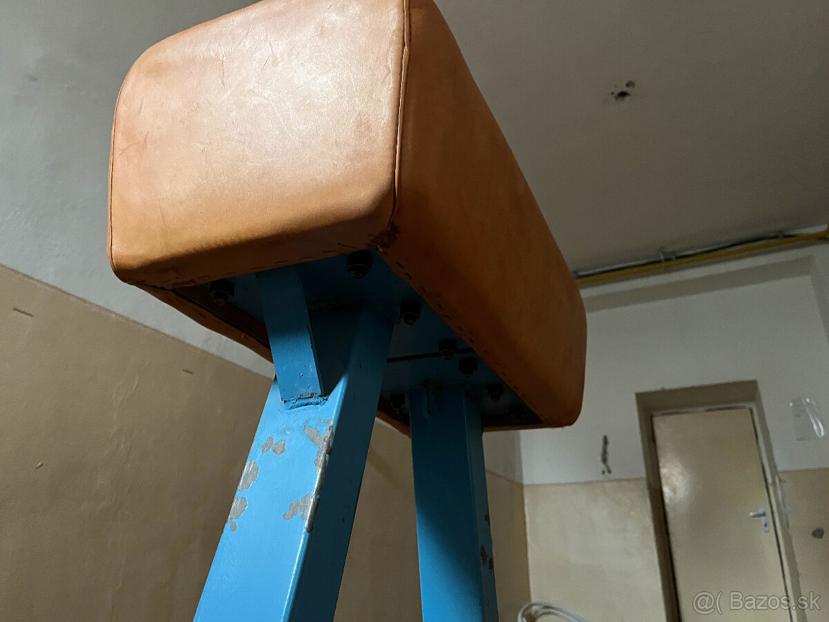 Gymnastická koza a kôň - 7