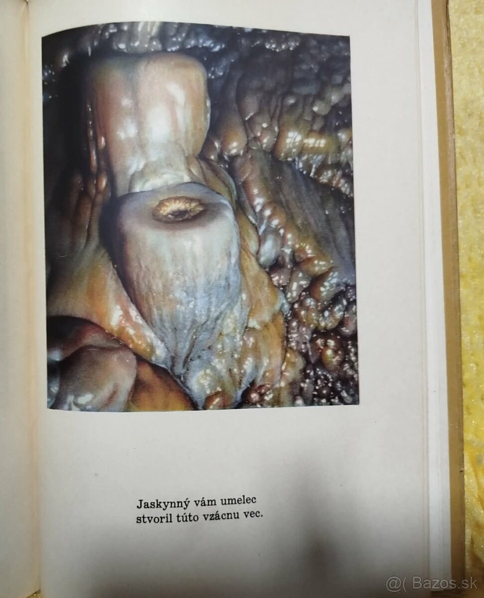 Výlet do Demänovských jaskýň--1956--Vojtech Benický, Július - 7