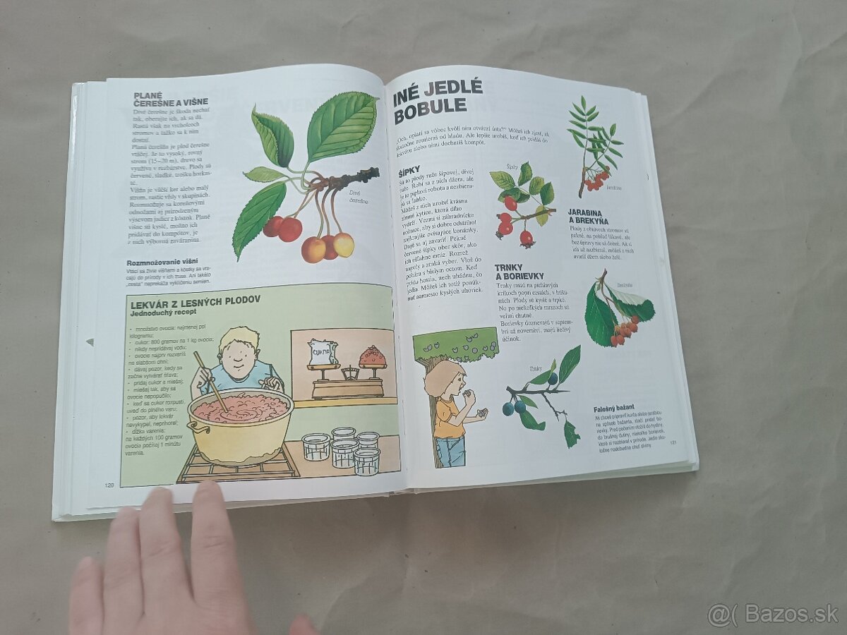 Renée Kayser: Priateľ lesa - 7