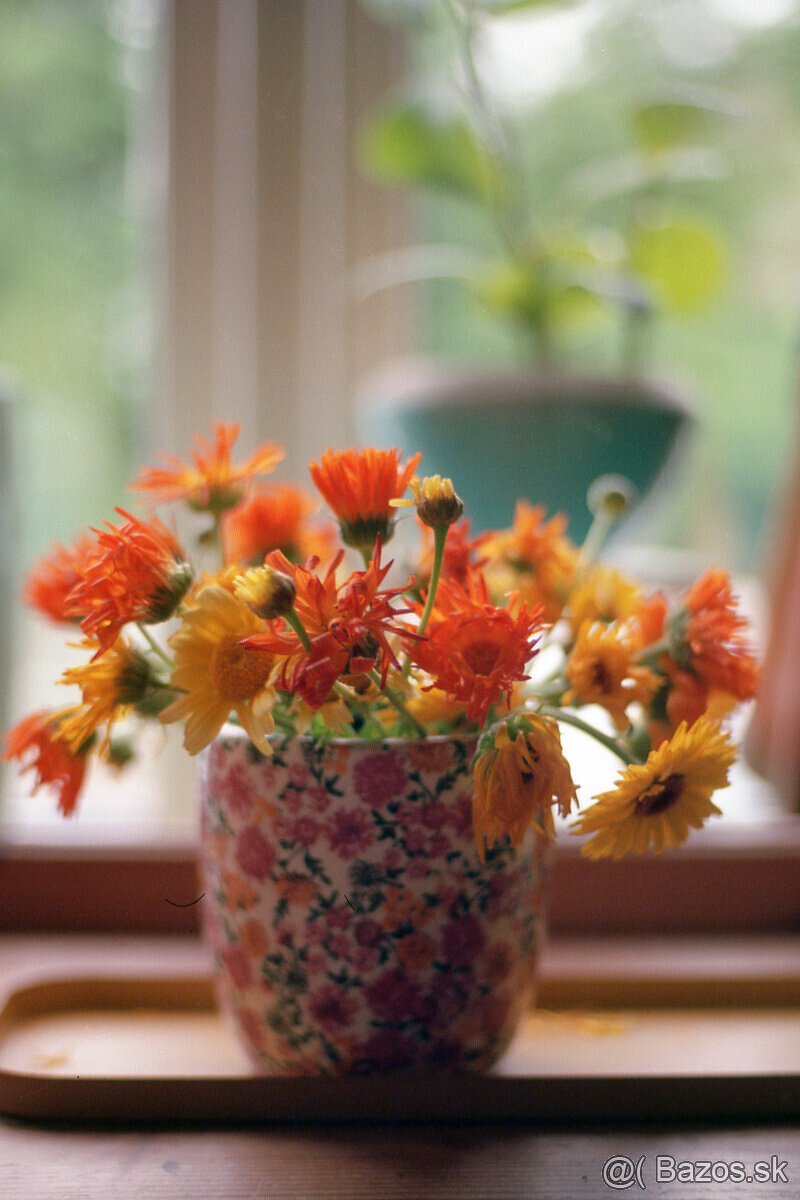 Carl Zeiss Planar T 1,7/50mm (Contax/Yashica) - 7