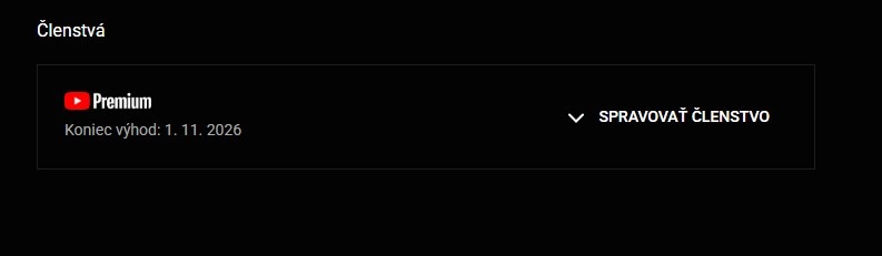 YouTube PREMIUM 12/24 M (AKCIA) - 7