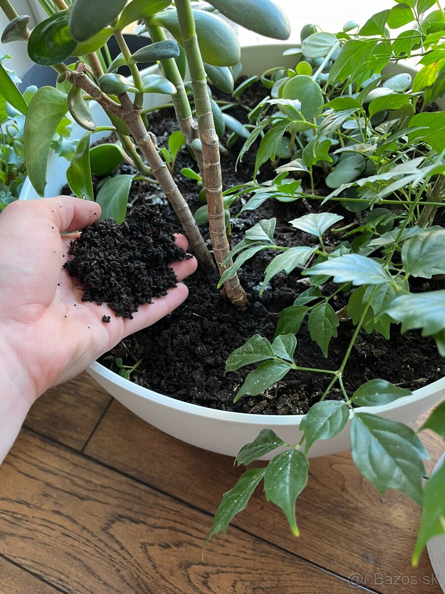 Vermikompost - 5L - 7