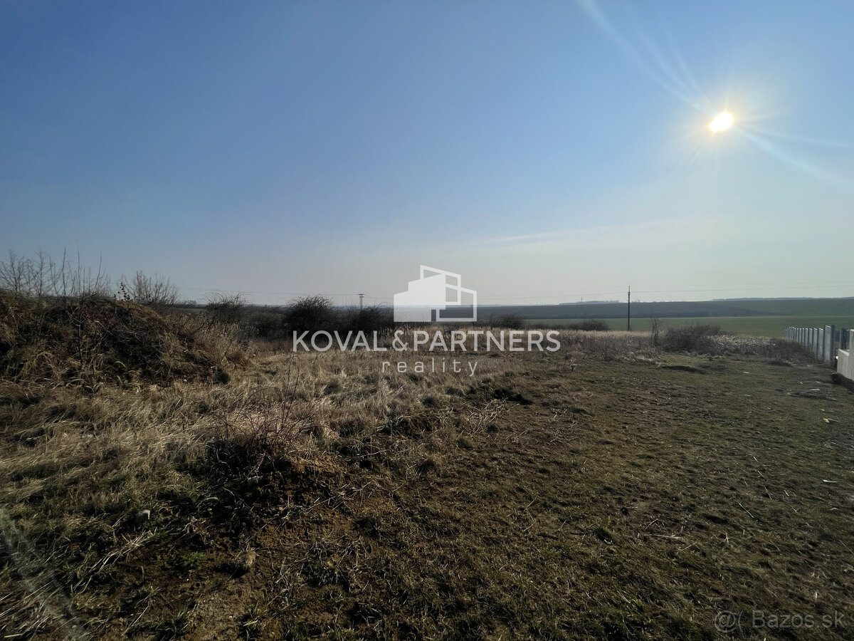 Na predaj orná pôda 3706 m2 - 7