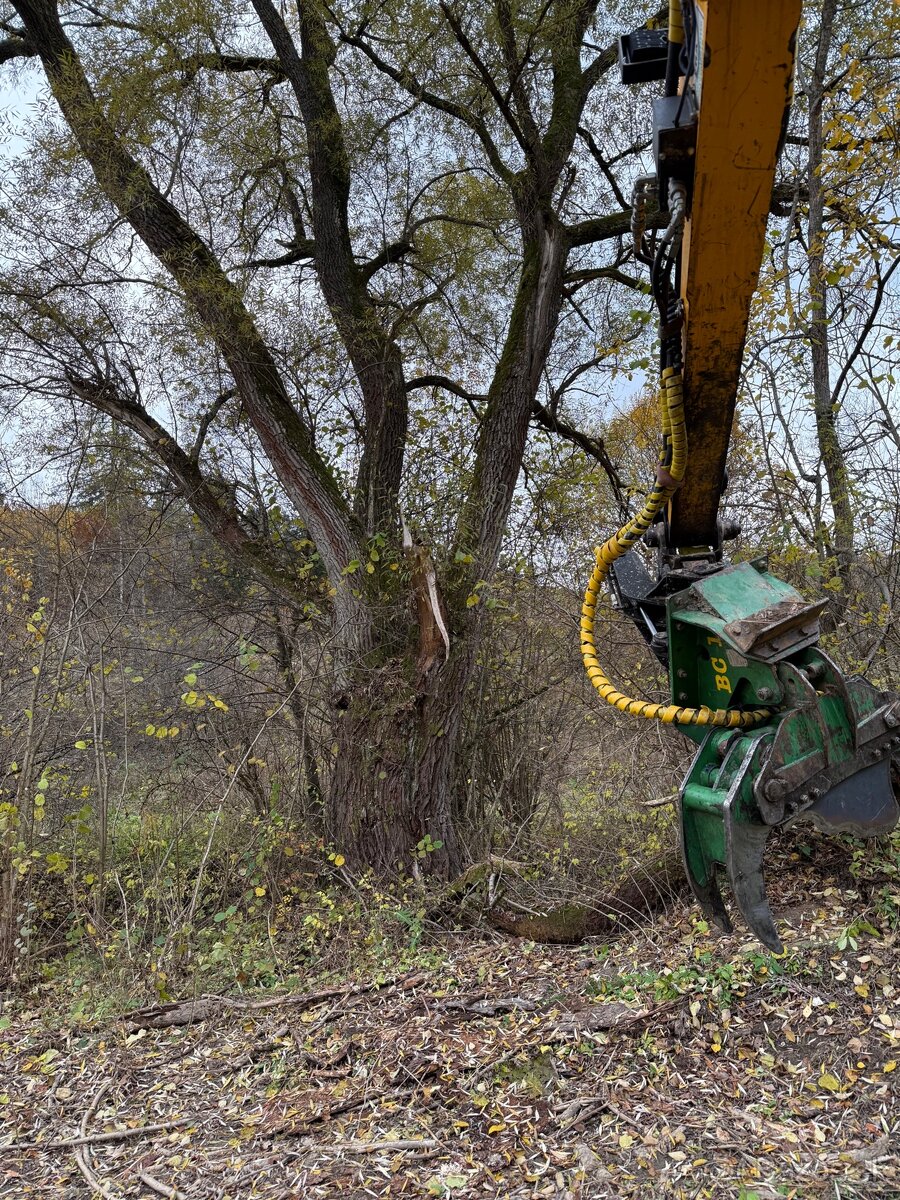 Štikacia hlavica - 7