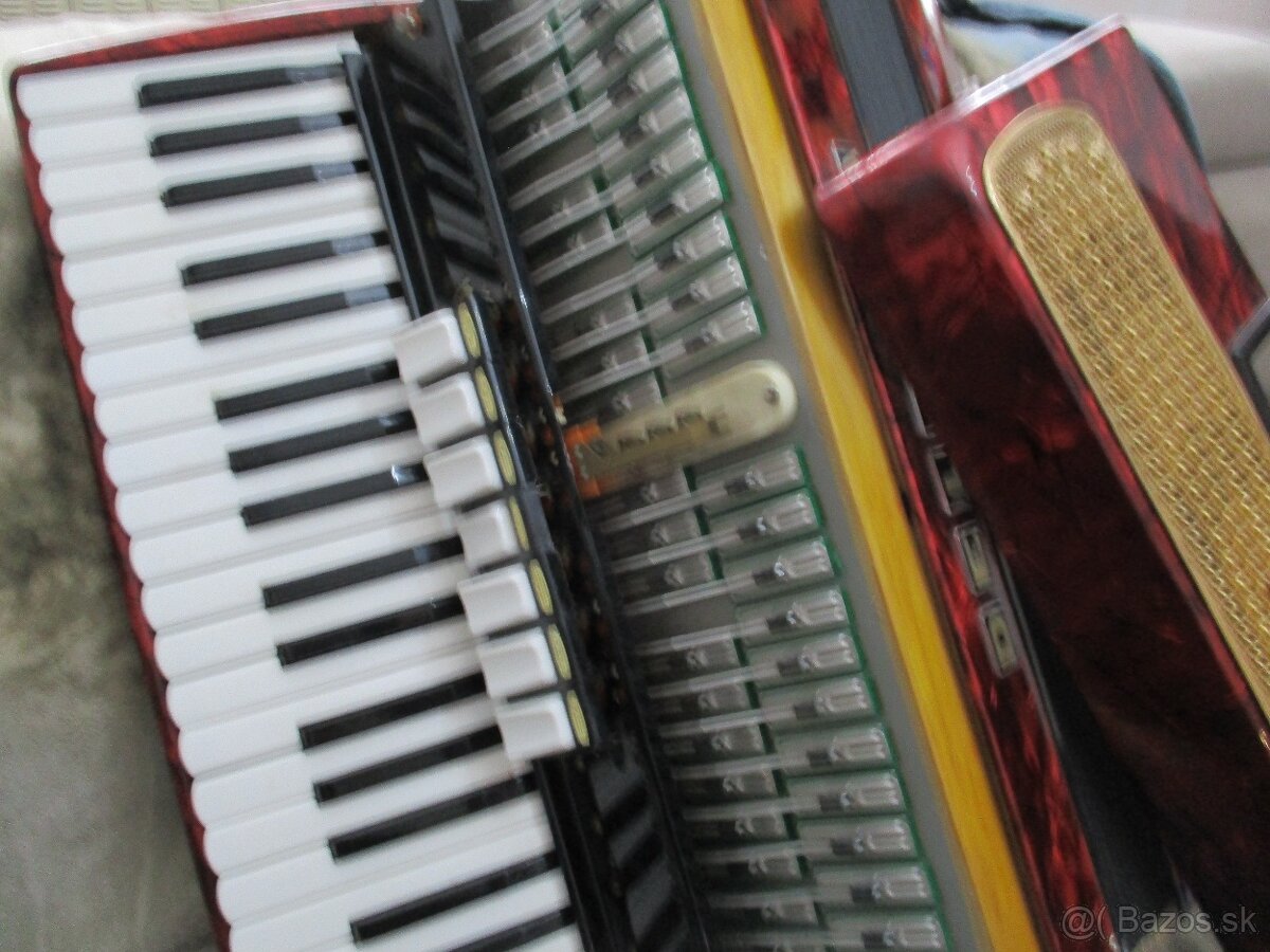 harmonika delicia - 7