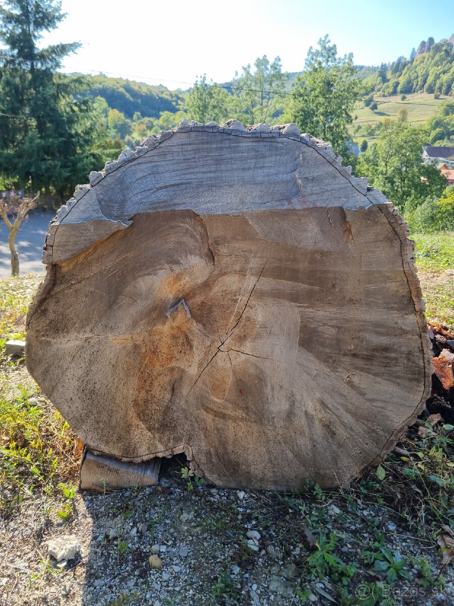 Lipový klát - 7