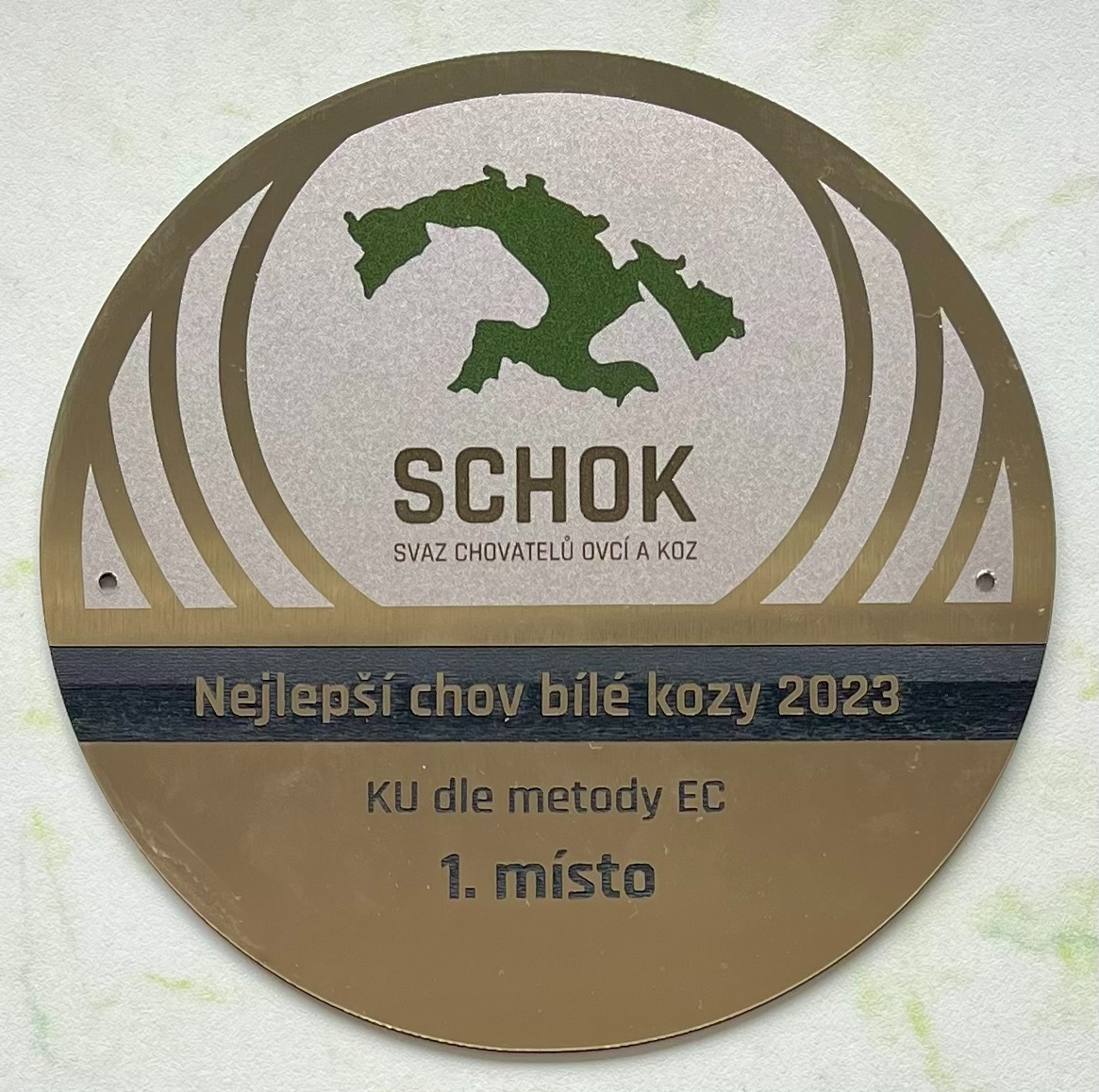 Česká bílá krátkosrstá koza. - 7