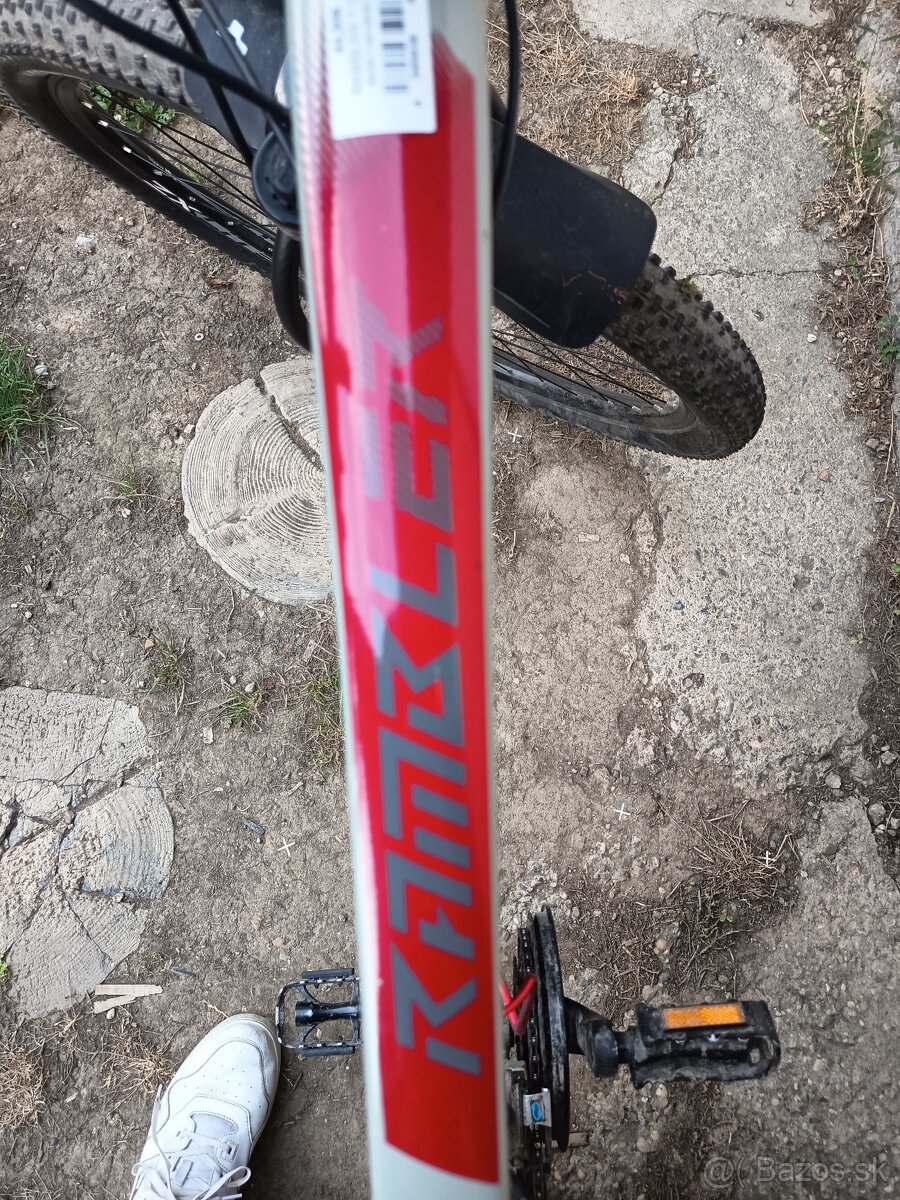 CTM Rambler 1.0 29" - 7