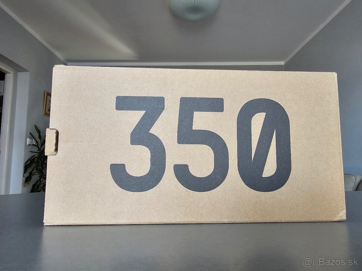 Adidas Yeezy Boost 350 CMPCT - 7