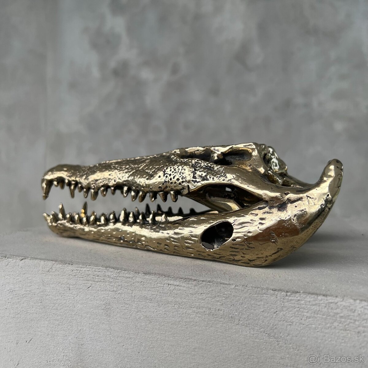 Lebka morského krokodíla, bronz - 7