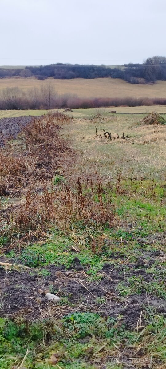 Predaj rodinného domu / chalupy – Partizánska Ľupča, Liptov - 7