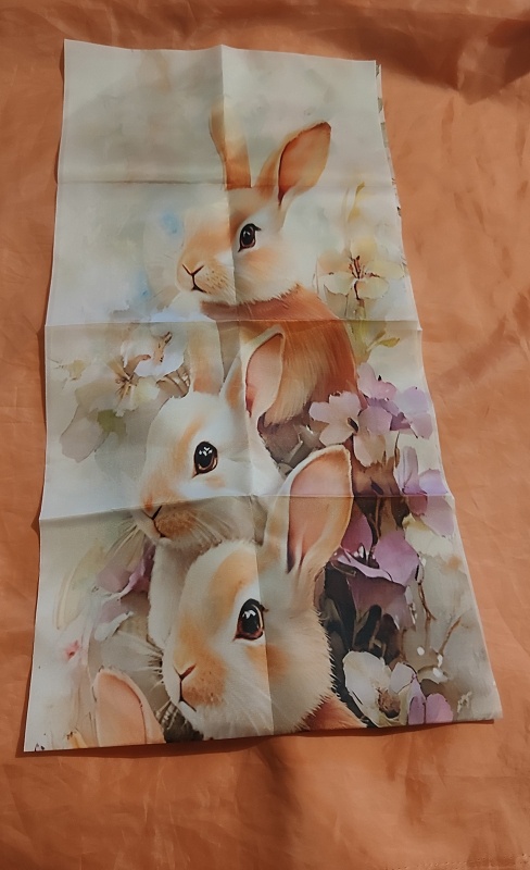 veľkonočný behun - 7