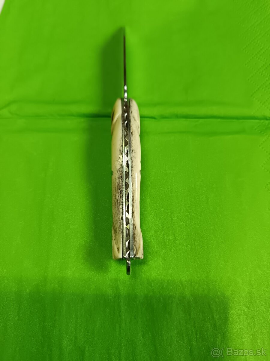 Rybka nožík - 7