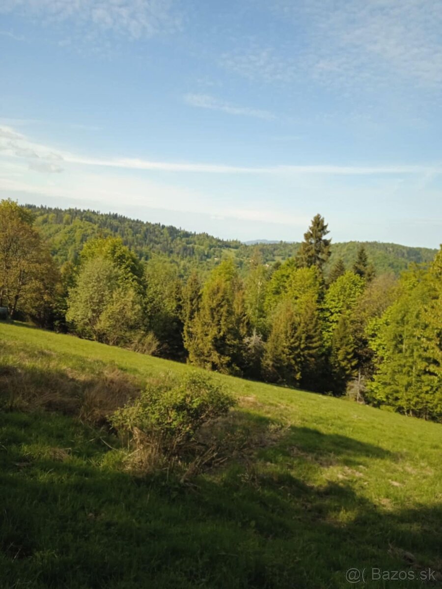 pozemok Oščadnica aj na stavbu chaty - 7