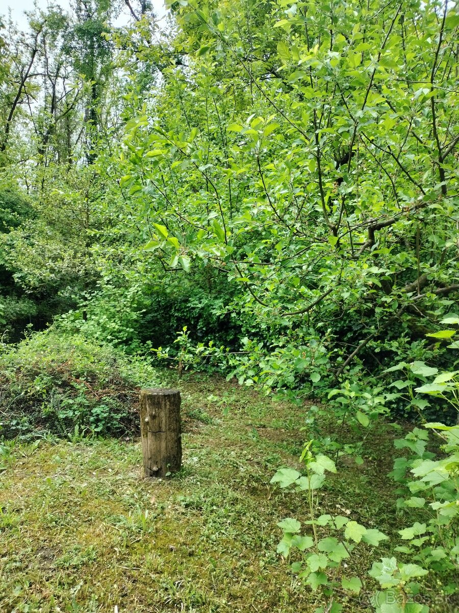 Na predaj záhrada Šípková Vyšné Opátske, znížená cena - 7