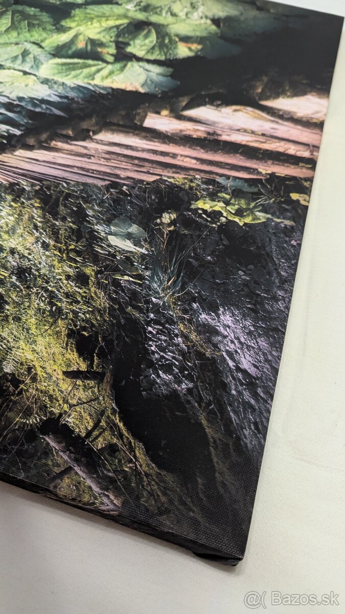 Fotoboraz zo Slovenského raja Tomášovská Belá - 7