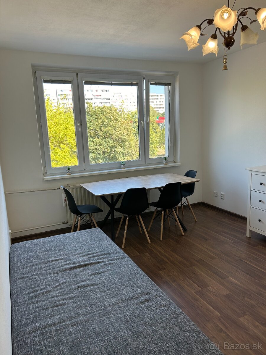 Prenájom 3-izbového zrekonštruovaného bytu na Furči - 7