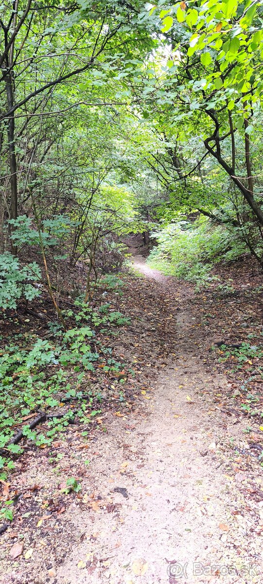 Rekreačná chata na predaj - 7