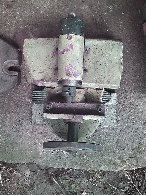 zverák, koník, ... - 7