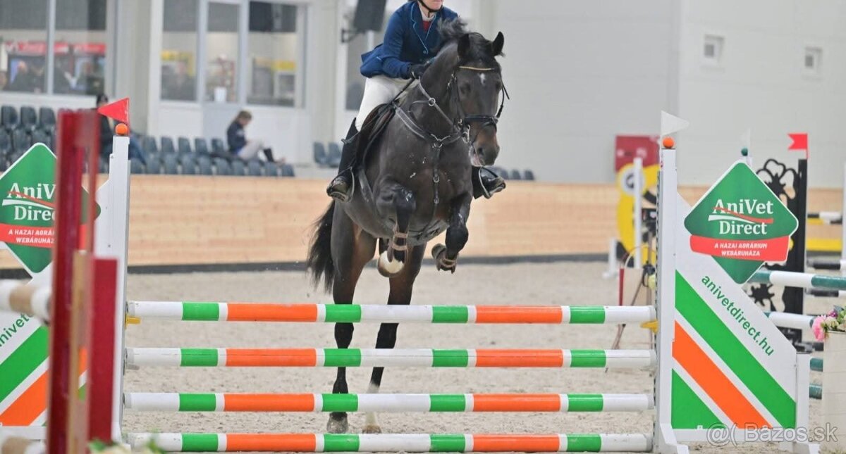 Cornet obolensky & Diamant De semilly - 7