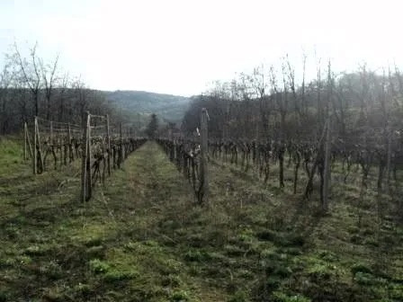 Investičný pozemok Krasňany BA III. - 7