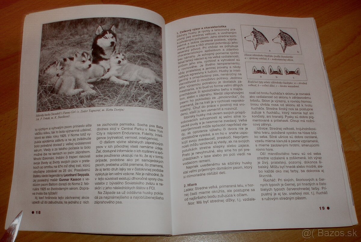 Severské plemená psov - 7