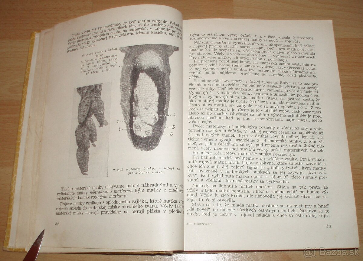 Včelárstvo - 7