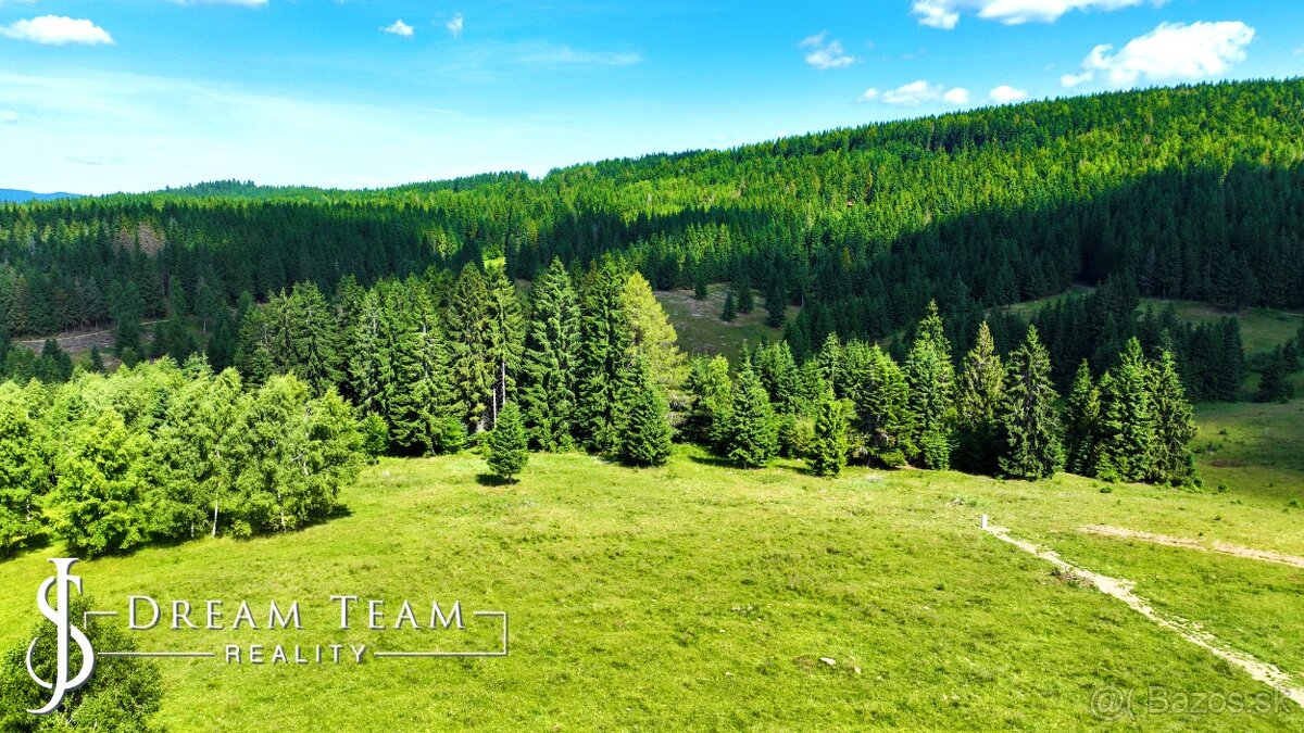 Stavebný pozemok 2.2ha v krásnom prostredí Látky okr. Detva - 7