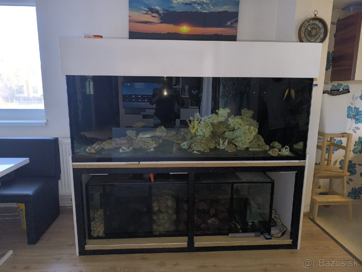 Akvárium 1000L cichlidy - 7