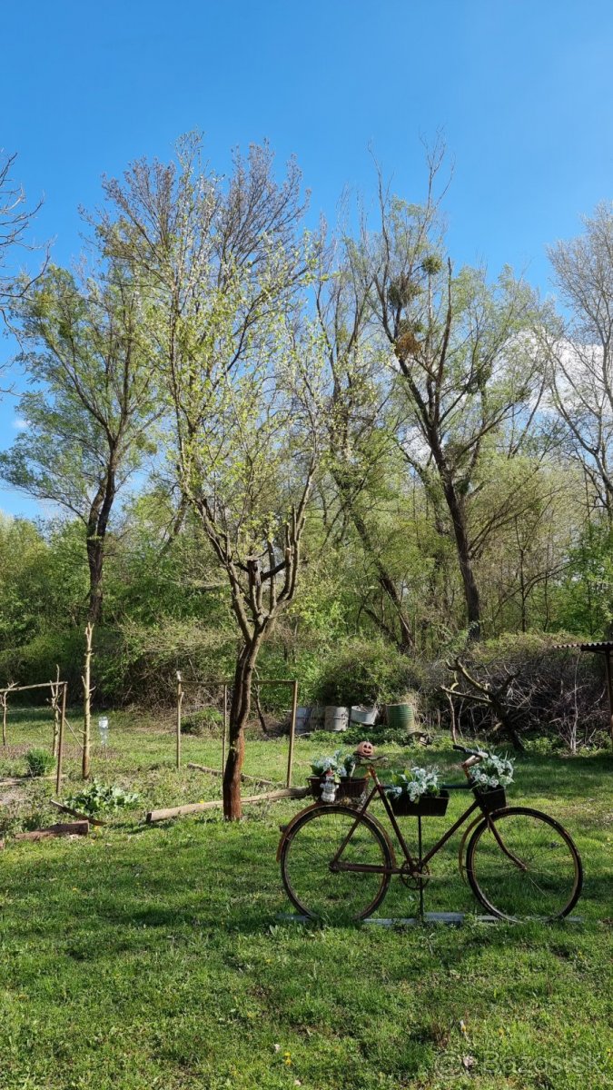 Prenájom pozemok Gabcikovo - 7