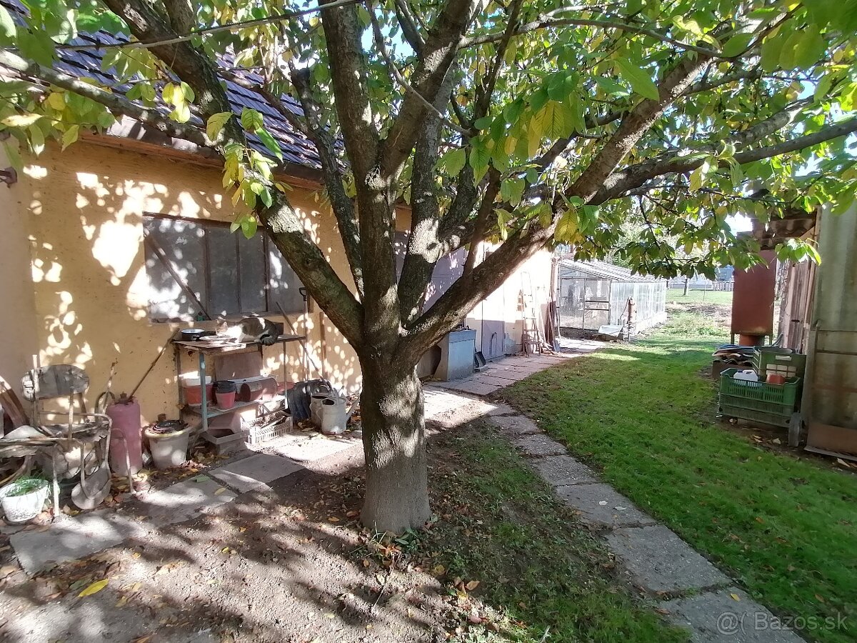 3izbový rodinný dom, 800m2 pozemok, Horný Bar - 7