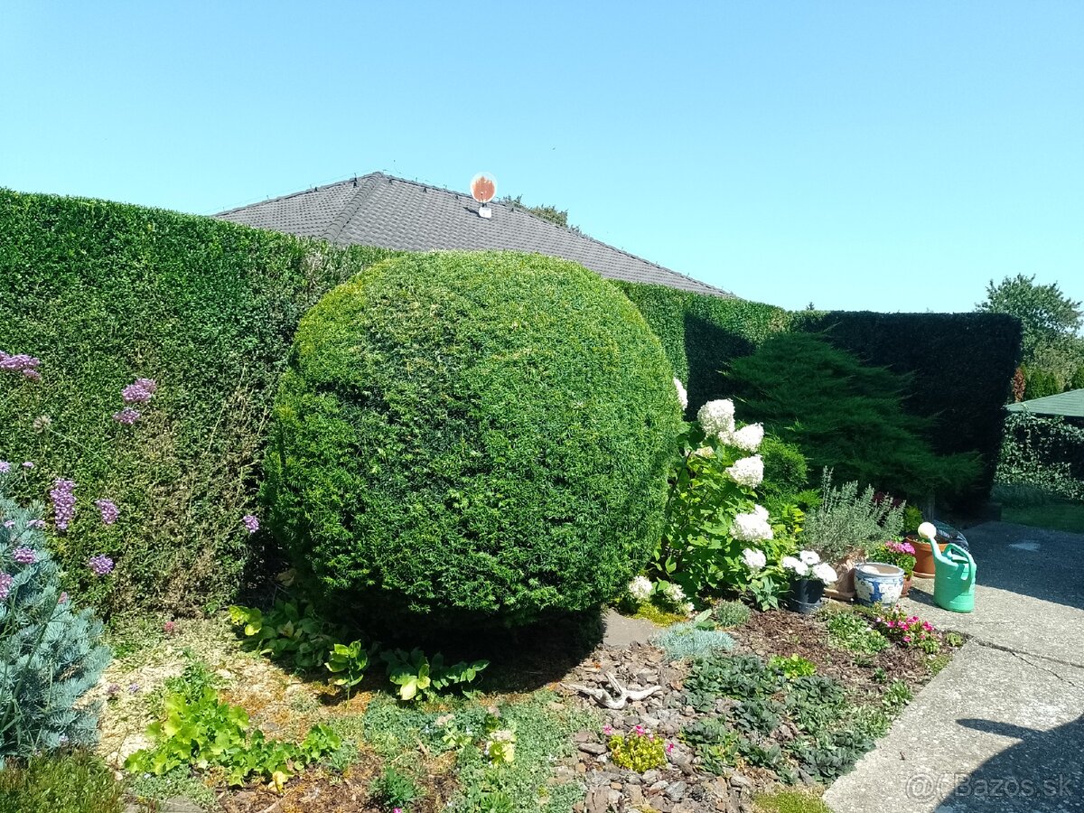 Zakladač trávnika - 7