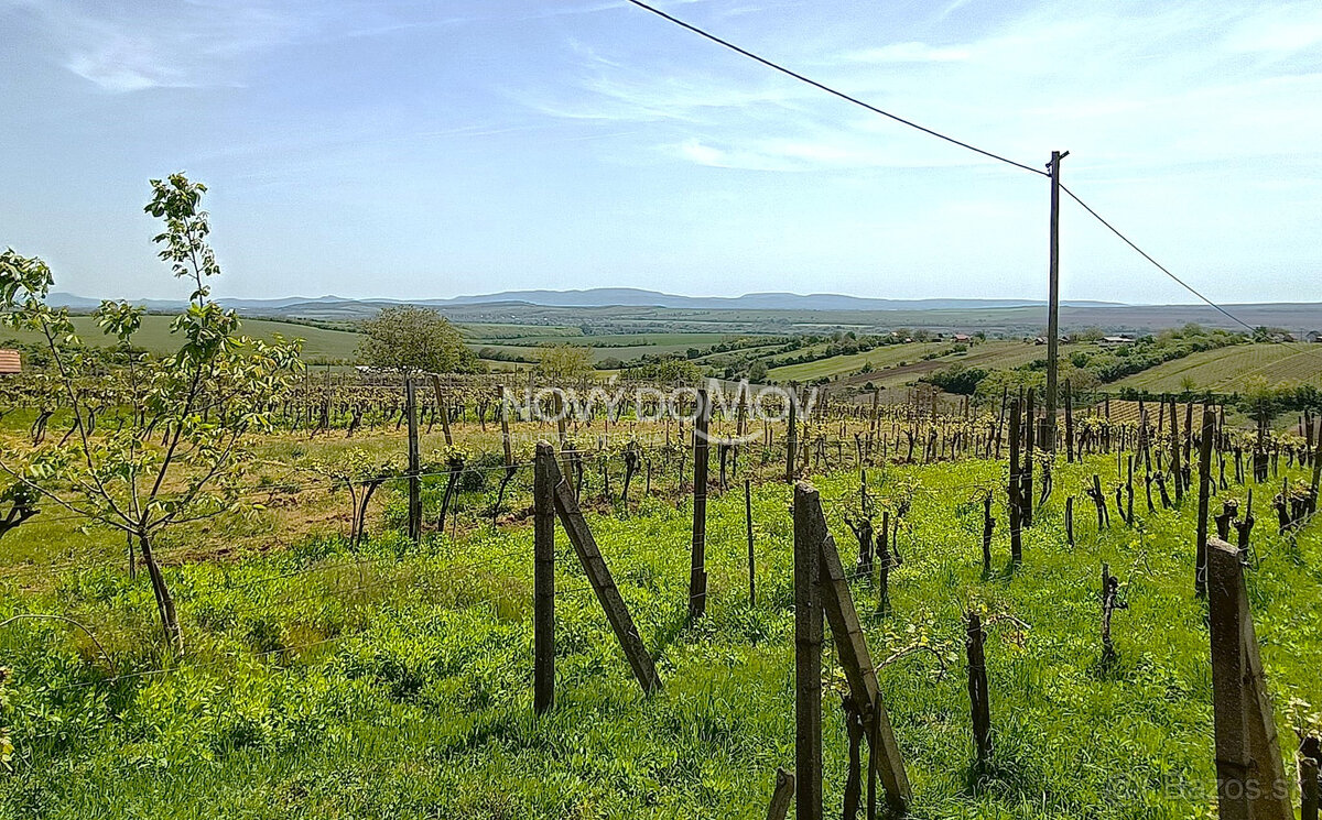NA PREDAJ - vinice, obec Strekov, výmera 4659 m2 - 7