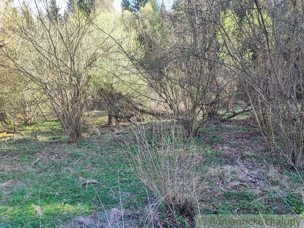 Pozemok uprostred hor na chaty - 7