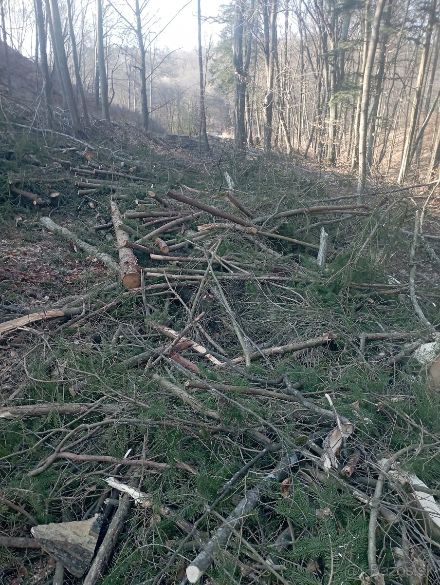 Agát, Agátové ploty - 7