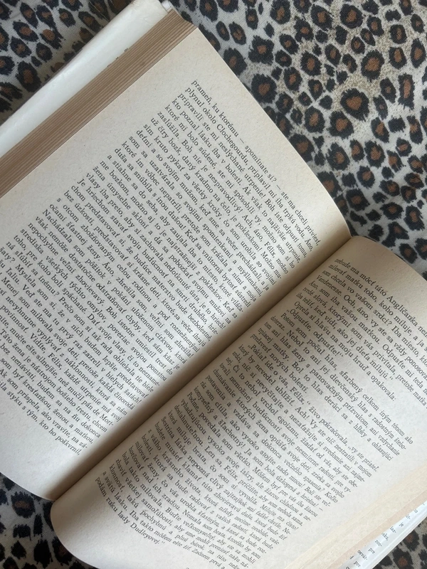 Ľalia v údolí - Honoré de Balzac - 7