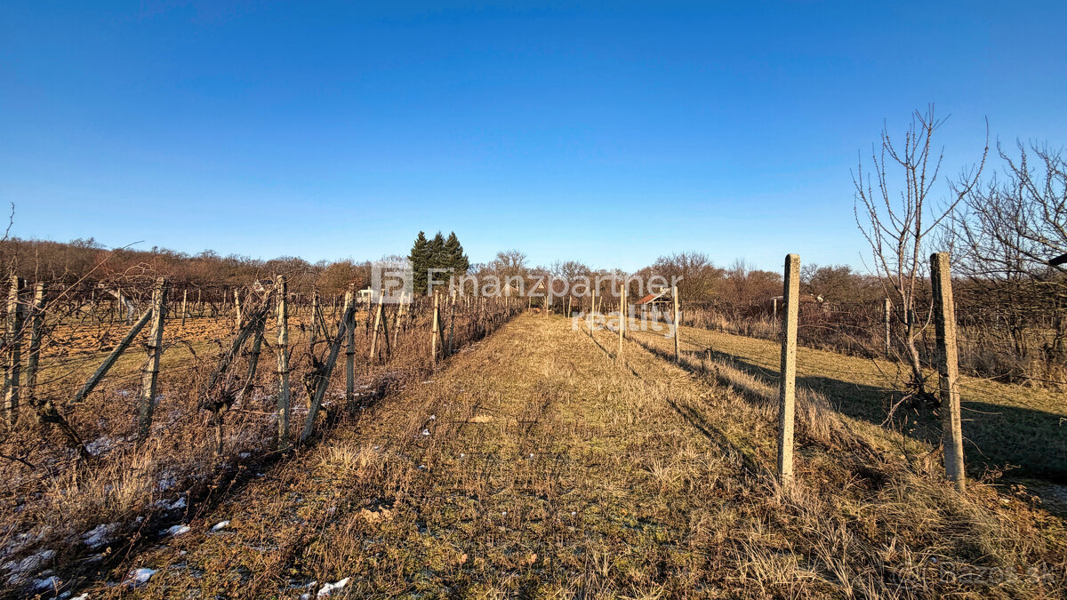 Vinohrady, ticho, výhľady - chata Podhorany, Nitra - 7