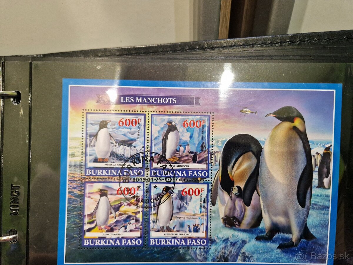 Zberatelsky Album s Arsikmi - 7