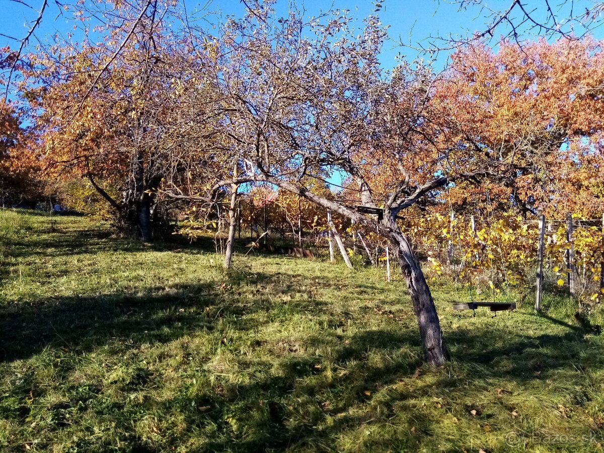 Chata na predaj Divín - 7