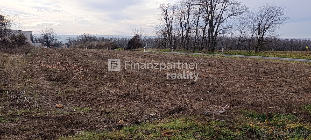 Rekreačný pozemok, 18 árov, obec Čechynce, okres Nitra - 7