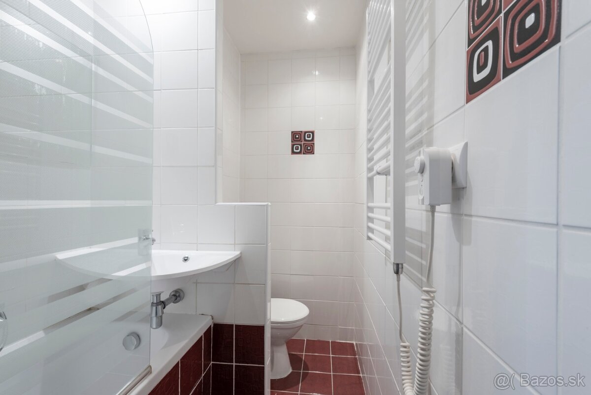 Jednoizbový byt - 7