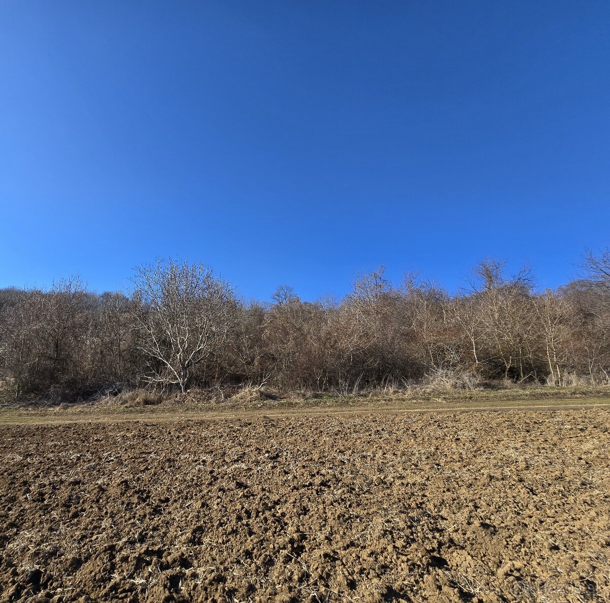 Pozemok na predaj vo viniciach. Výhradne u nás. - 7