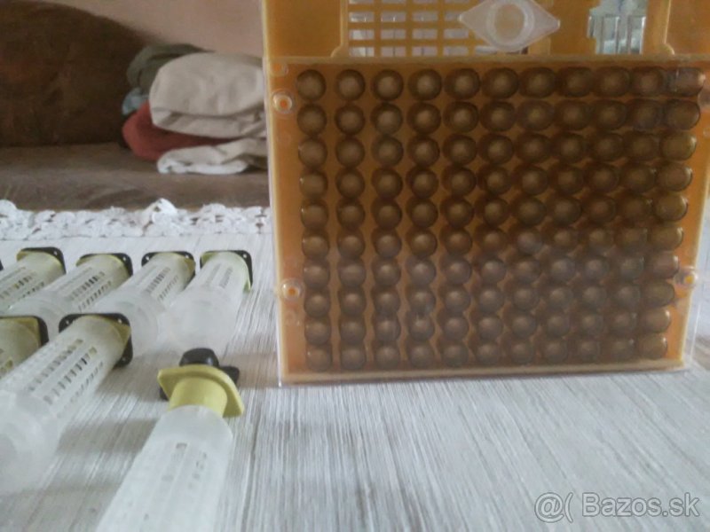 VČELY: Predám systém na chov včelích matiek - 7