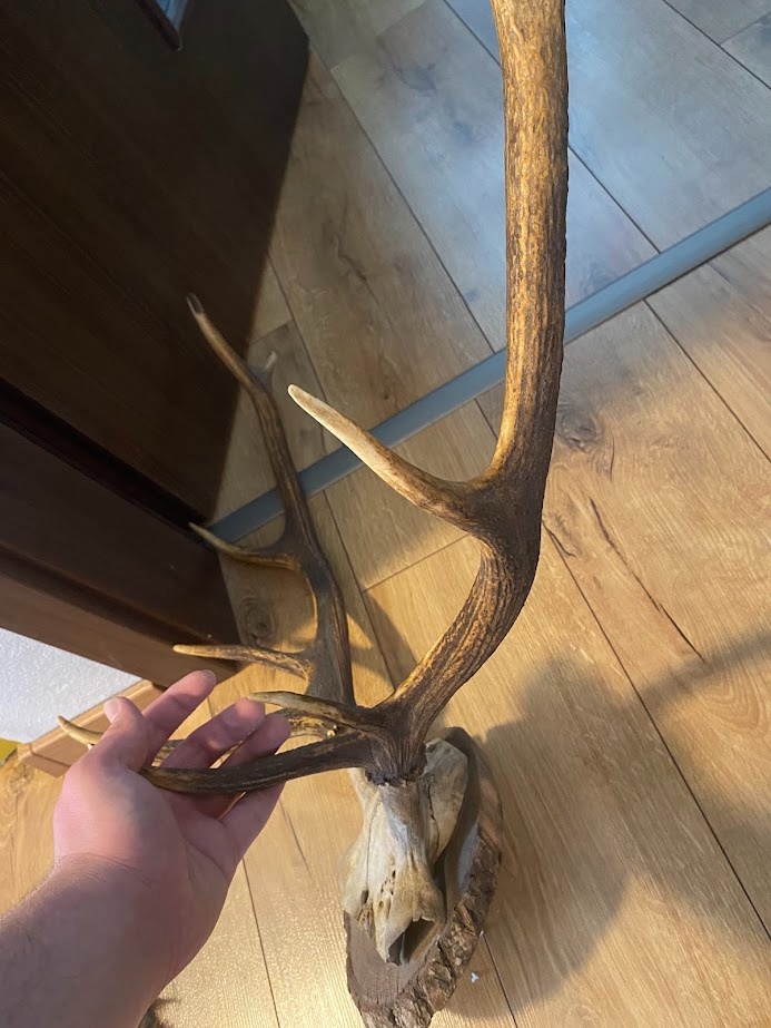 Predam polovnicke veci - 7