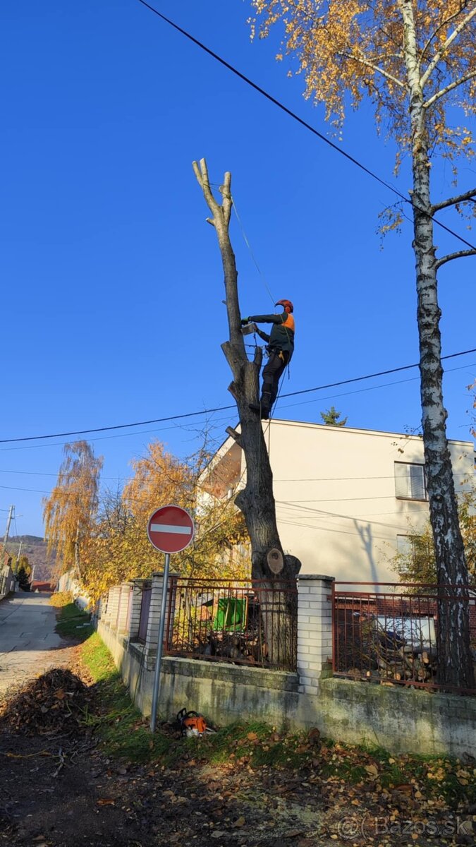 Rizikové rezanie stromov - 7