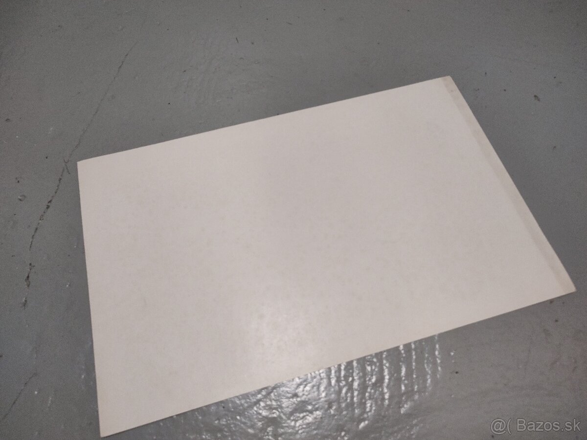 plagát - portrét Alexander Dubček - 7